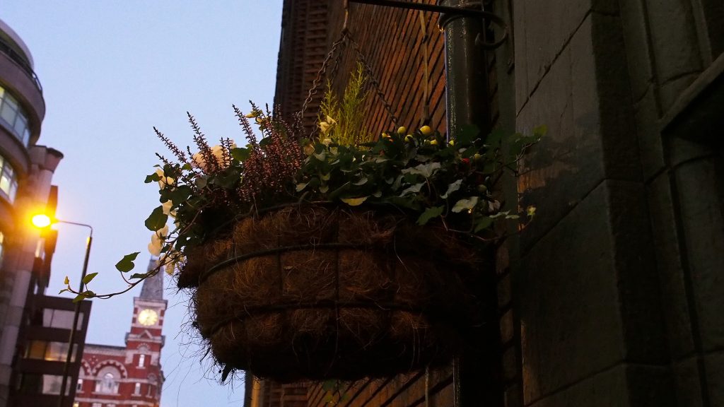 Strong hanging basket game. Always a promising sign.