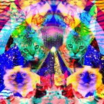 Psychedelic Cats