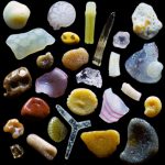 sand-grains-under-microscope-gary-greenberg-1